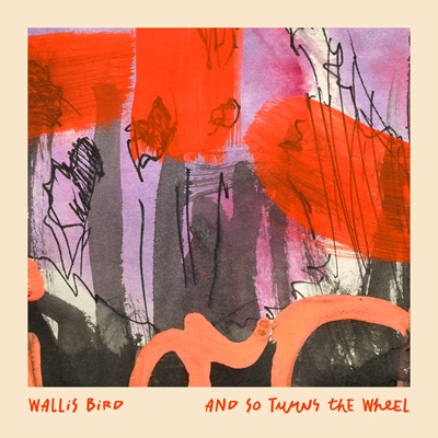 Wallis Bird
